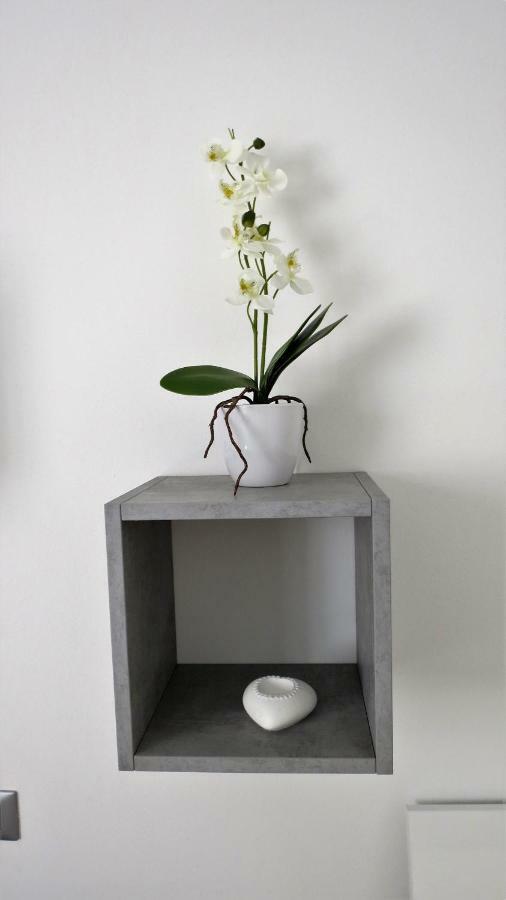 Feel At Home - Casa Alexandra Lovere Esterno foto